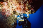 ADVENTURE DIVING ALGHERO